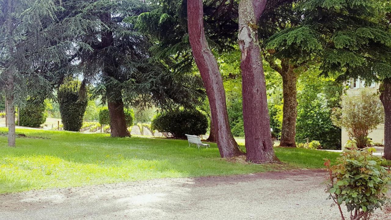 Chateau Cantelaube แซงต์เตมีลียง ภายนอก รูปภาพ